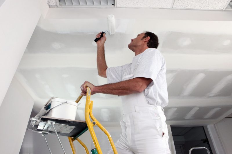 Things You Need to Consider Before Tackling an Exterior Painting In The Treasure Valley