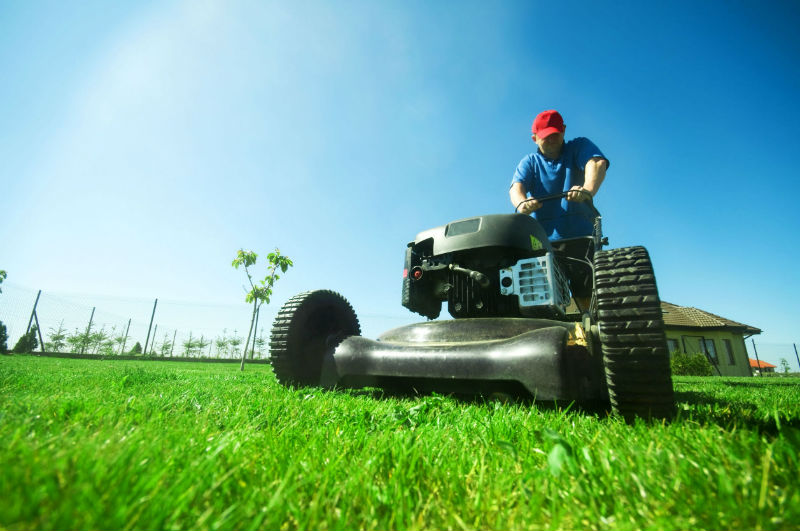 Finding an Experienced Arborist for Your Tree in Washington