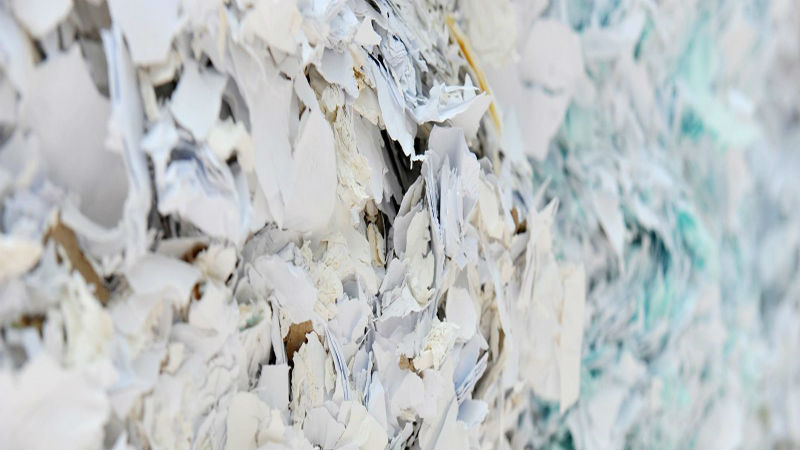 How Can You Benefit From Document Shredding in Denver?