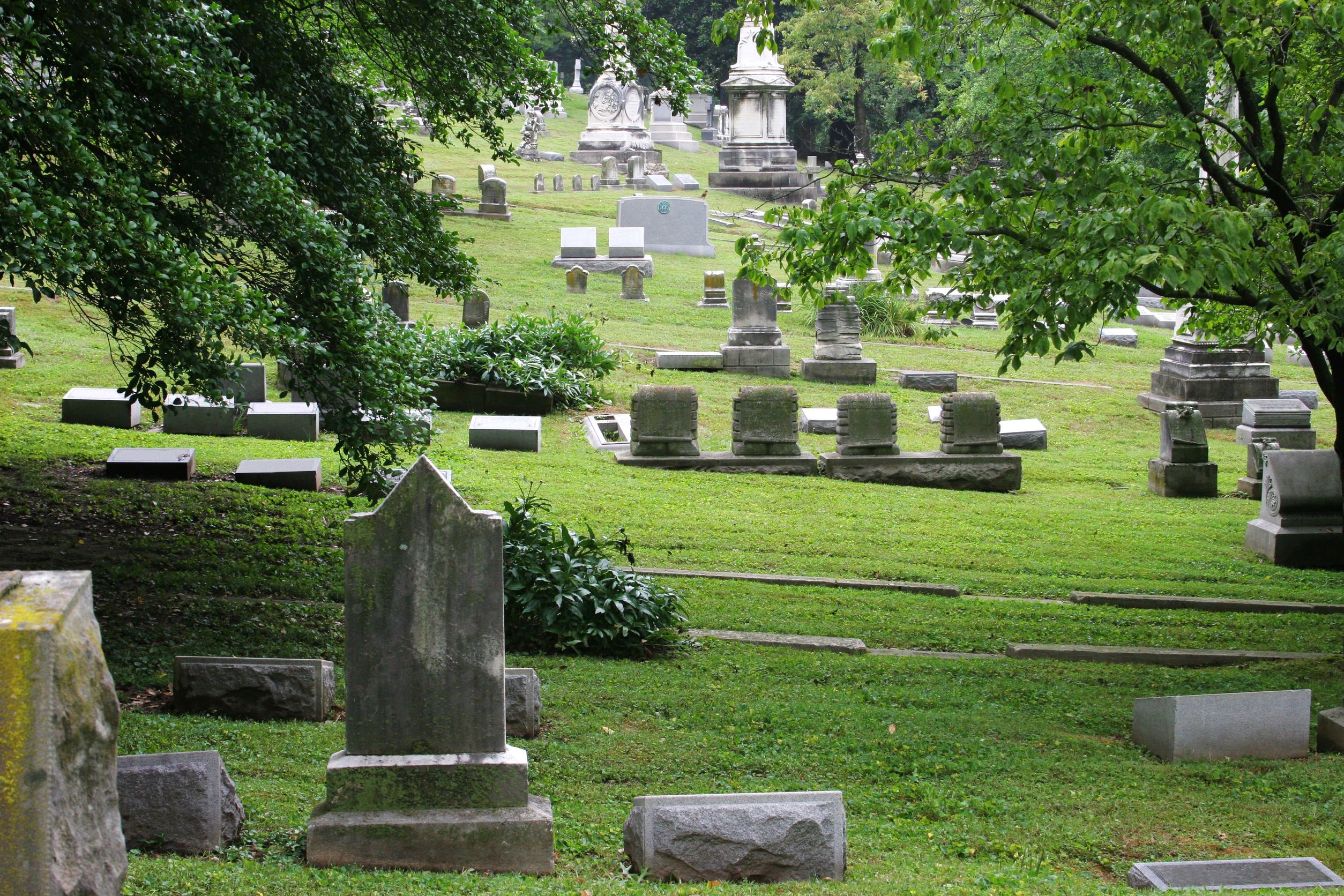 Restore Hope and Compassion: How Catholic Cemeteries Support Those Affected by Suicide