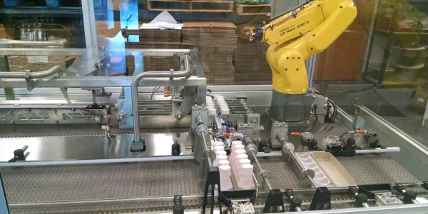 Robotic Palletizing System: The Top Benefits of Owning a System