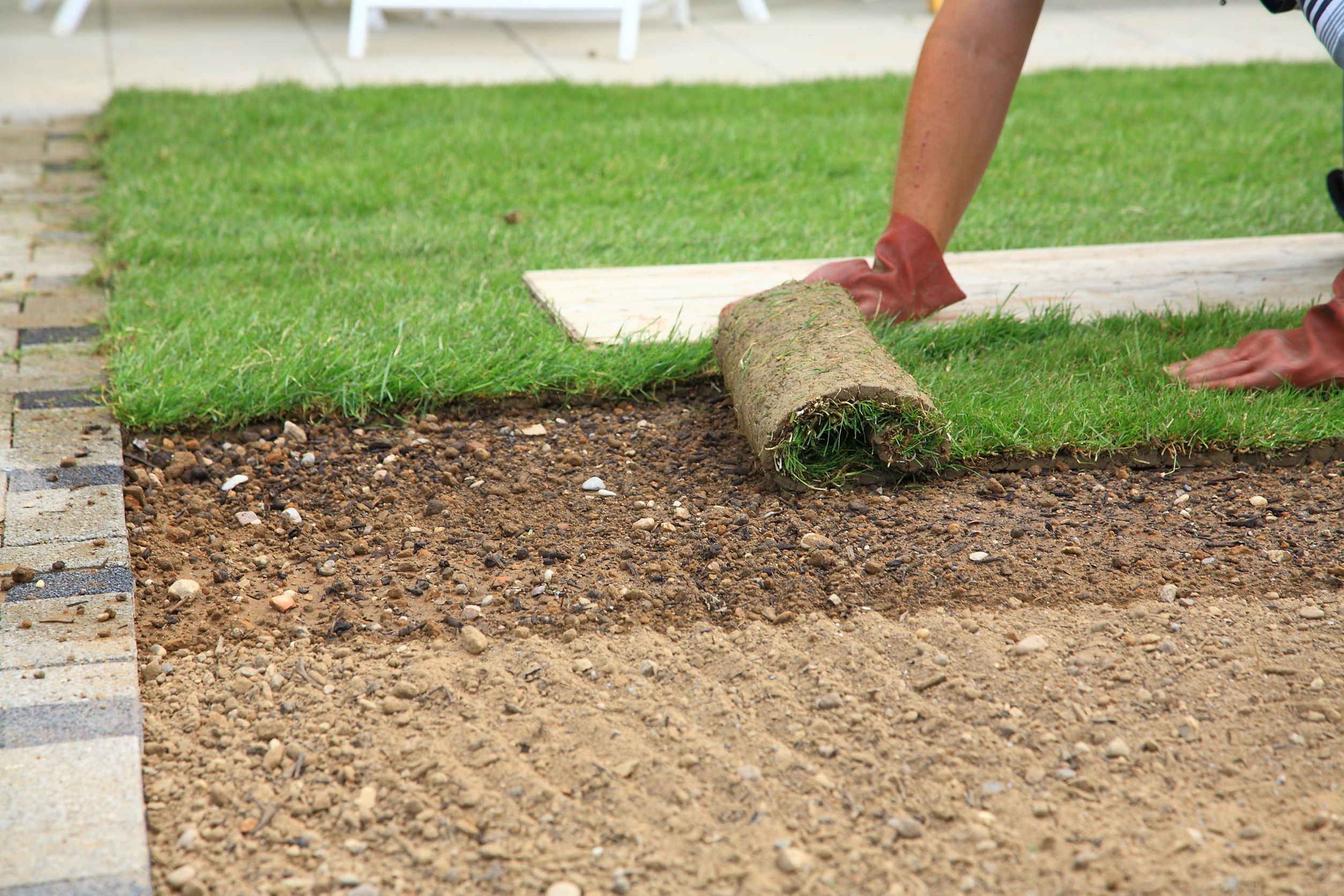 Revitalize Your Lawn with Sod Replacement: A Guide for Temecula, CA, Residents