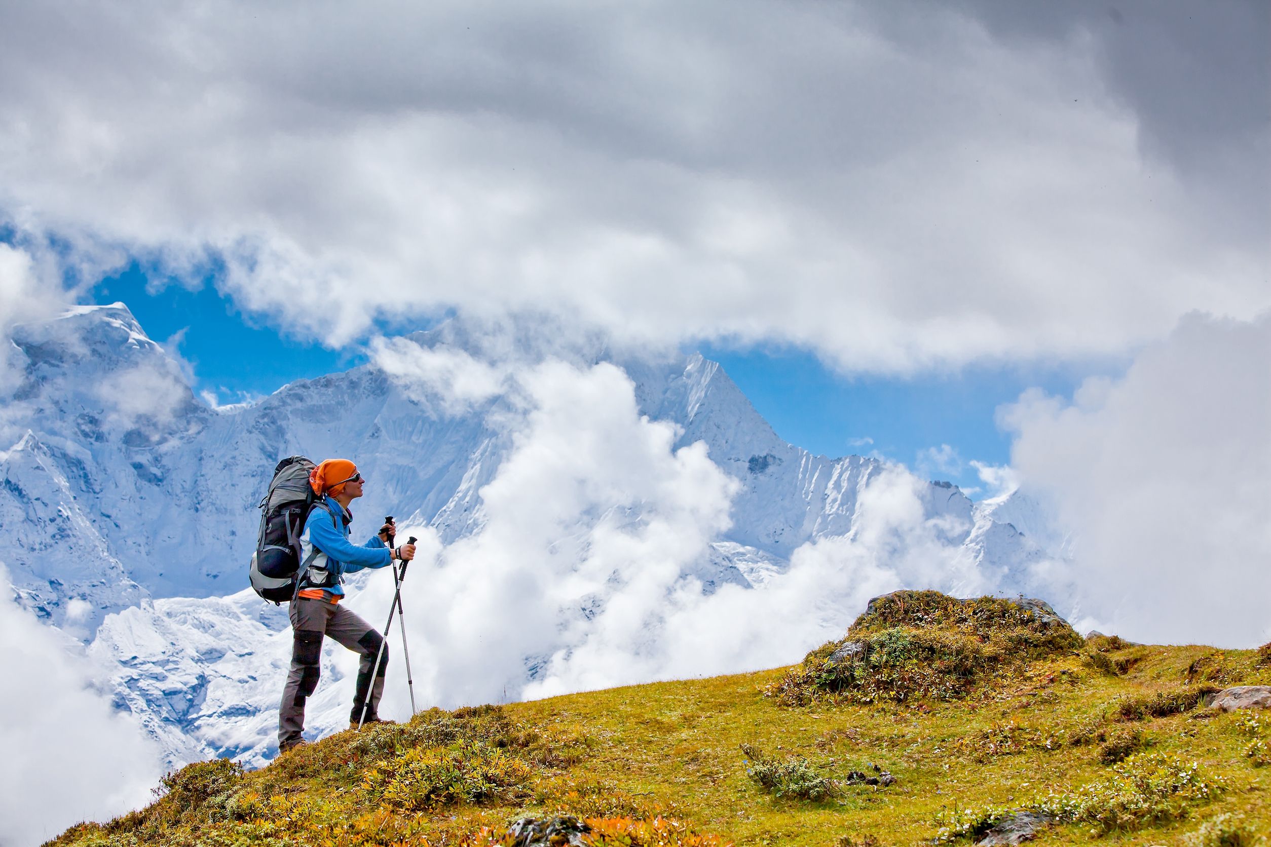 3 Animals You Can See While Hiking One of the Earth’s Highest Mountains