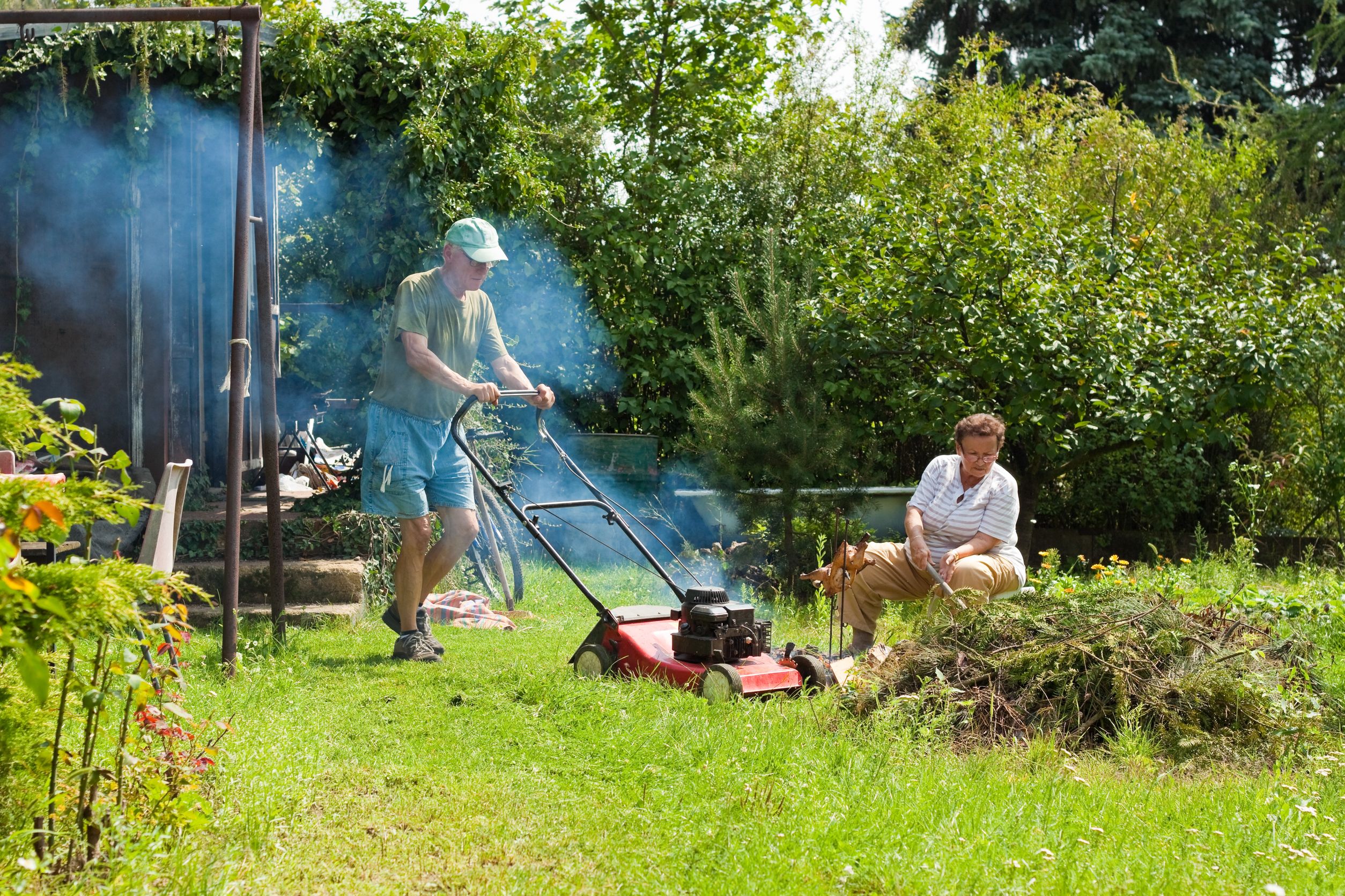 Lawn Sod in Temecula, CA: The Ultimate Guide for a Lush Green Yard