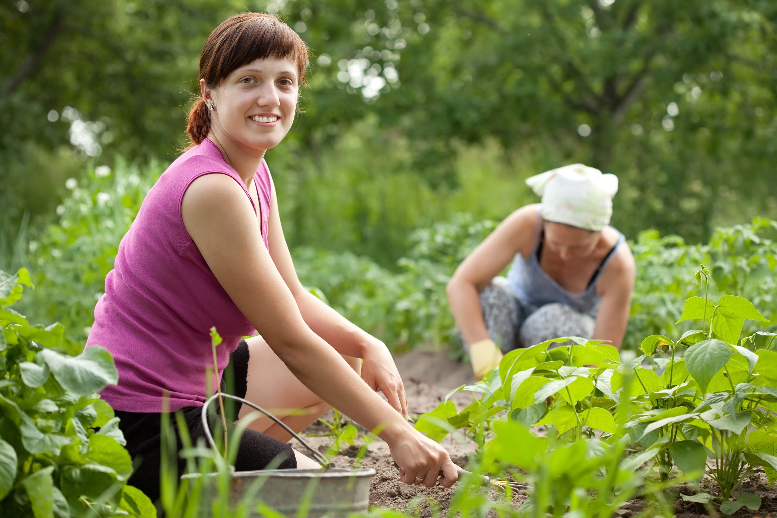 The Benefits of Home-Grown Vegetables: From Garden to Table