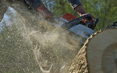 Different Types of Premium Land Clearing Services Near Hayden, ID