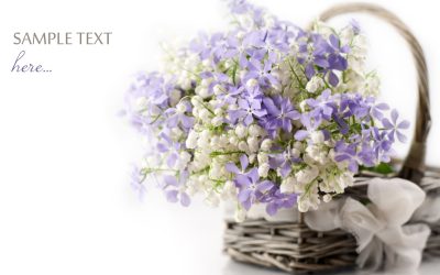 Questions to Ask Before Purchasing a Floral Arrangement in Erie, CO