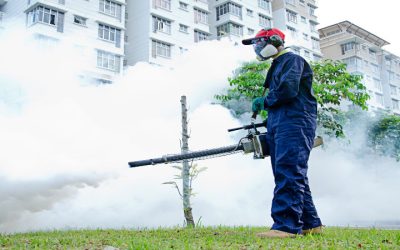 Big or Small Property: Everyone Needs Pest Control Services in Naples FL