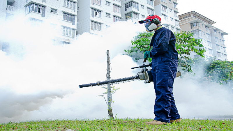 Big or Small Property: Everyone Needs Pest Control Services in Naples FL