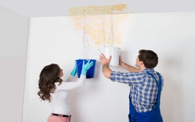 Understanding The Basics Of Water Damage Repair In Carmel IN