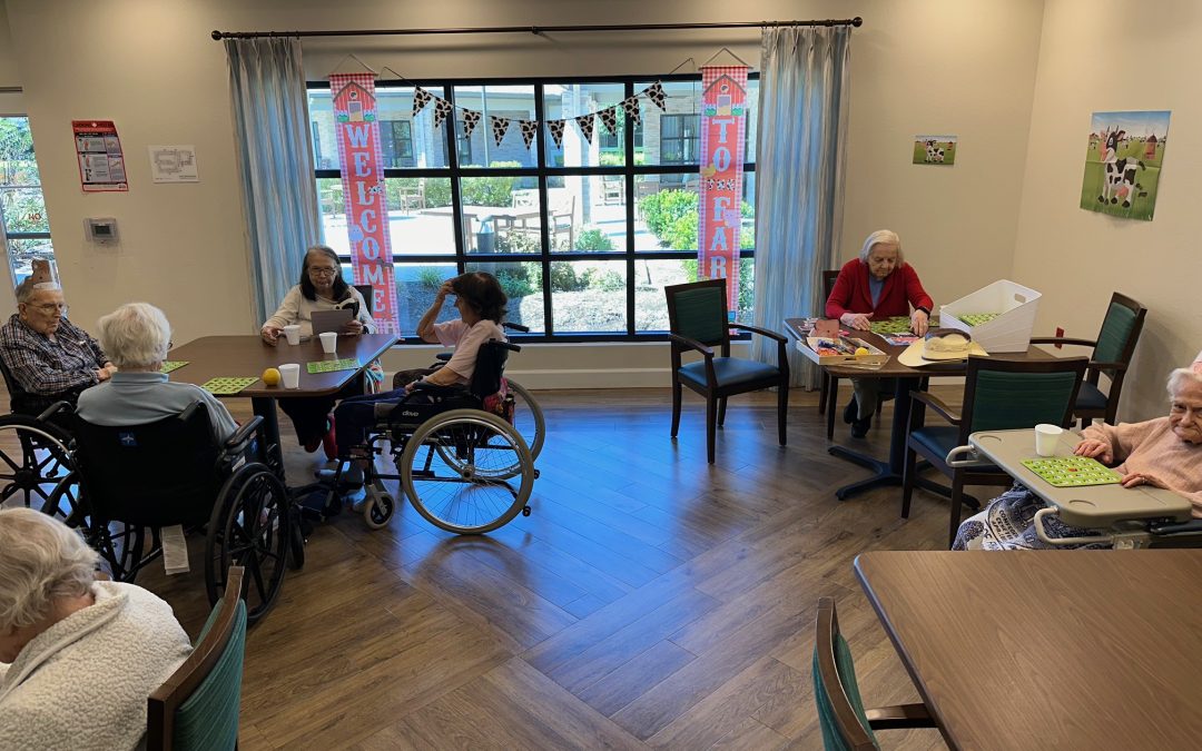 Discover the Difference: Memory Care Facility in Sugar Land, TX Providing Specialized Support